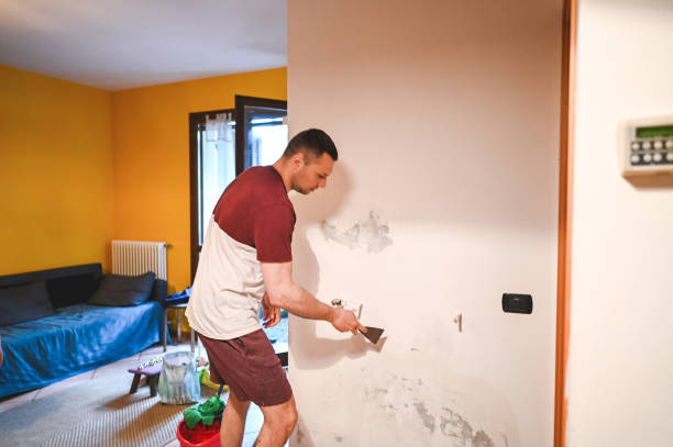 Best Professional Mold Removal  in Brigantine, NJ